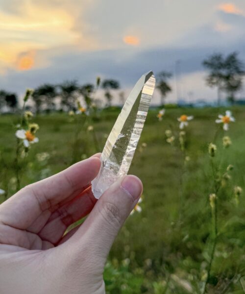 Penas Blancas Lemurian Colombia - COLM4805 sunset