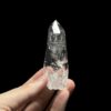 Penas Blancas Lemurian Colombia - COLM4807 1