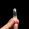 Penas Blancas Lemurian Colombia - COLM4807 1