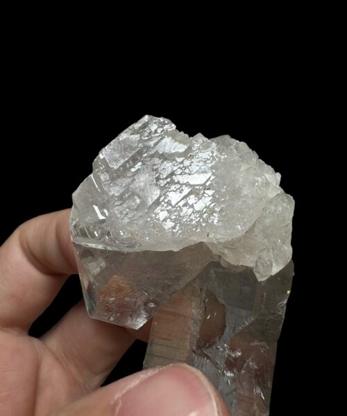 Self-healed Lemurian VN - LMV31 2