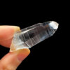 Colombian Lemurian COLM23 3