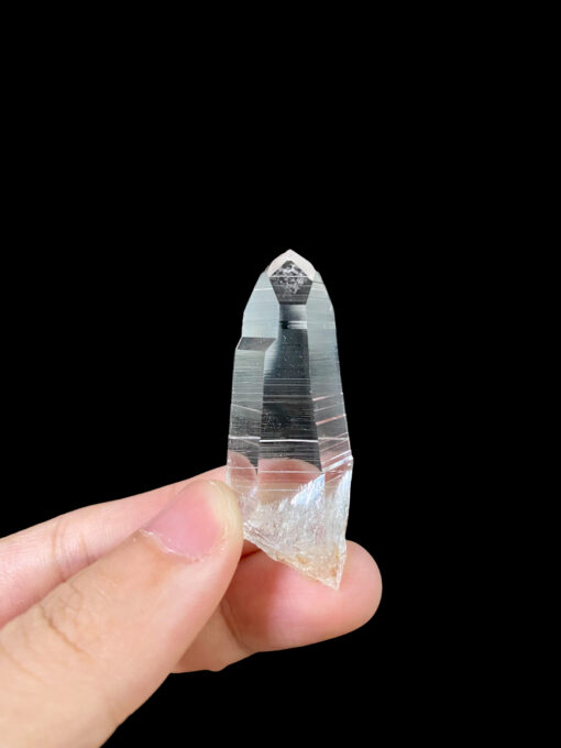 Colombian Lemurian COLM23 7