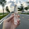 Brazilian Lemurian BLM4603 - 3