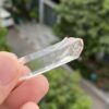 Blue Smoke Lemurian 5 - COLMB8