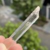 Blue Smoke Lemurian COLMB9 - 6