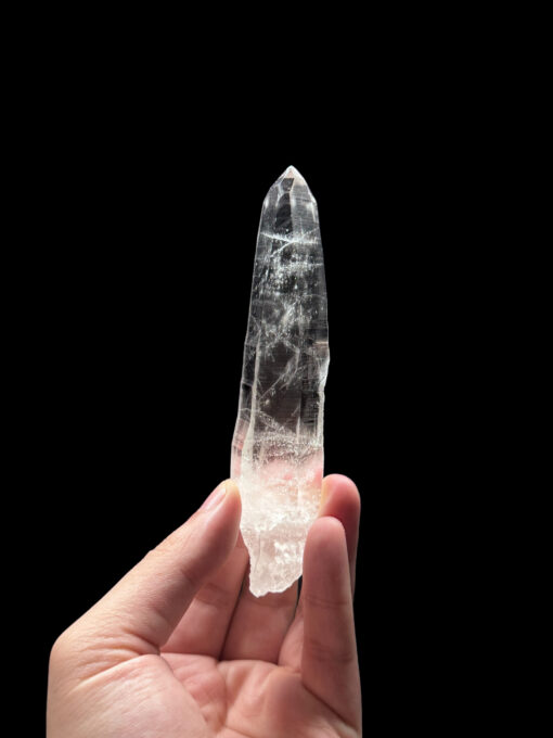 Brazilian Lemurian BLM4603 - 1