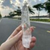 Brazilian Lemurian BLM4603 - 2