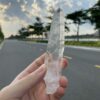 Brazilian Lemurian BLM4603 - 4