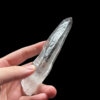 Brazilian Lemurian BLM4603 - 5