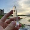 Brazilian Lemurian BLM4604 - 3
