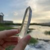 Brazilian Lemurian BLM4604 - 6