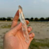 Brazilian Lemurian BLM4605 - 3