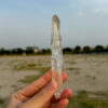 Brazilian Lemurian BLM4605 - 5