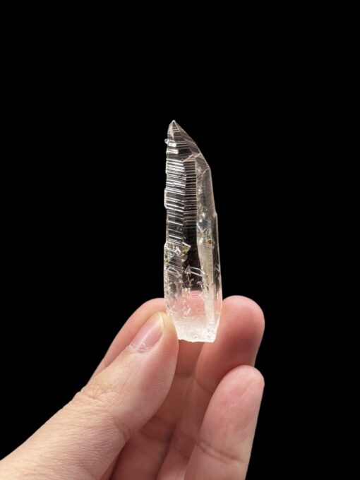 Colombian Lemurian COLM52 - 1