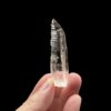 Colombian Lemurian COLM52 - 1