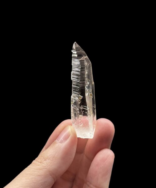 Colombian Lemurian COLM52 - 1