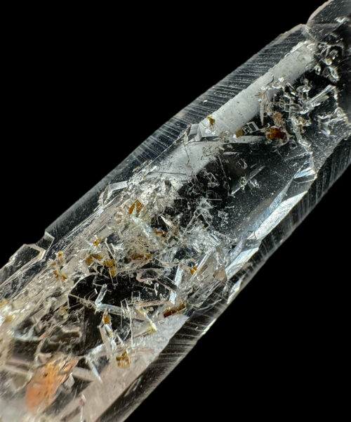 Colombian Lemurian COLM52 - 2