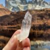 Colombian Lemurian COLM54 - 2