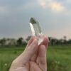 Colombian Lemurian COLM65 - 2