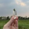 Colombian Lemurian COLM65 - 5