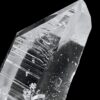 Colombian Lemurian COLM65 - 8