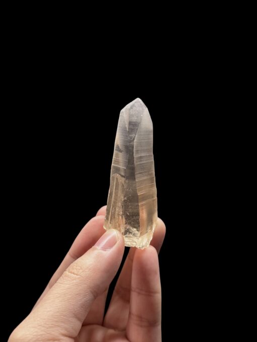 Tangerine Lemurian BTLM2501 - 1