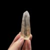 Tangerine Lemurian BTLM2501 - 1