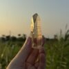 Tangerine Lemurian BTLM2501 - 3