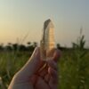 Tangerine Lemurian BTLM2501 - 4