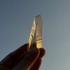 Tangerine Lemurian BTLM2501 - 7