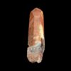 angel phantom quartz amp3 - 4