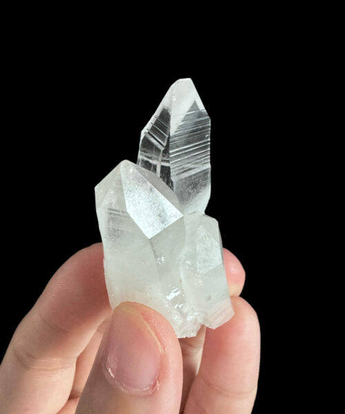 COLM55 colombian lemurian 1