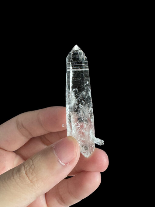 COLM66 colombian lemurian 1