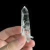 COLM66 colombian lemurian 1