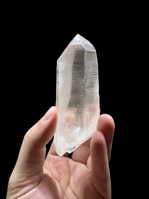 BLM15 Brazilian Lemurian DT 1