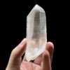 BLM15 Brazilian Lemurian DT 1