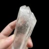 BLM15 Brazilian Lemurian DT 2