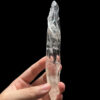 BLM4601 Brazilian Lemurian - 1