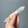 BLM4601 Brazilian Lemurian - 5
