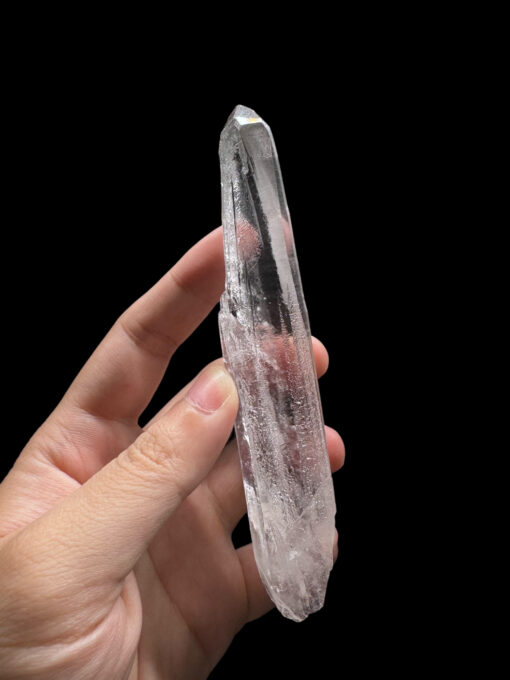 BLM4602 Brazilian Lemurian 1