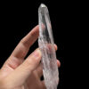 BLM4602 Brazilian Lemurian 1