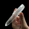 BLM4602 Brazilian Lemurian 2
