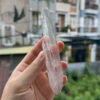 BLM4602 Brazilian Lemurian 3