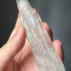 BLM4602 Brazilian Lemurian 5