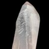 BLM4602 Brazilian Lemurian 8