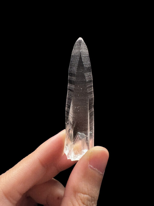 BLM4606 Brazilian Lemurian 1