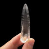 BLM4606 Brazilian Lemurian 1