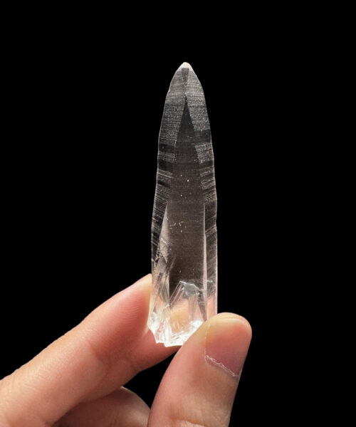 BLM4606 Brazilian Lemurian 1