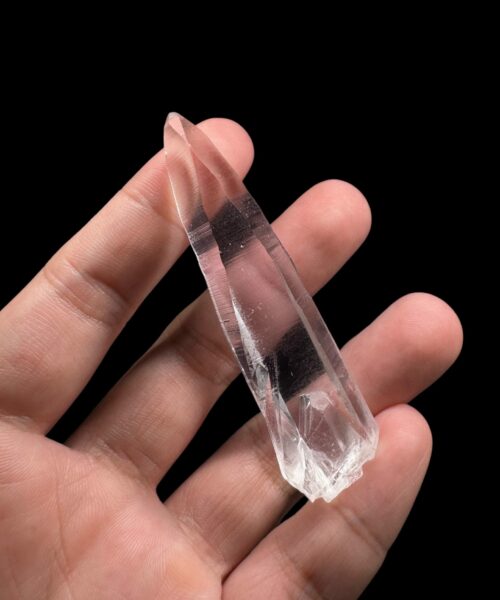 BLM4606 Brazilian Lemurian 2