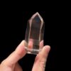 BLM4902 Brazilian Smoky Lemurian 1